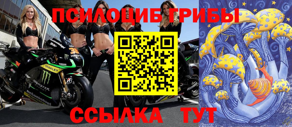 Псилоцибиновые грибы Cubensis  Галлюциногенные грибы ЛСД  Вход с VPN  Можга 
