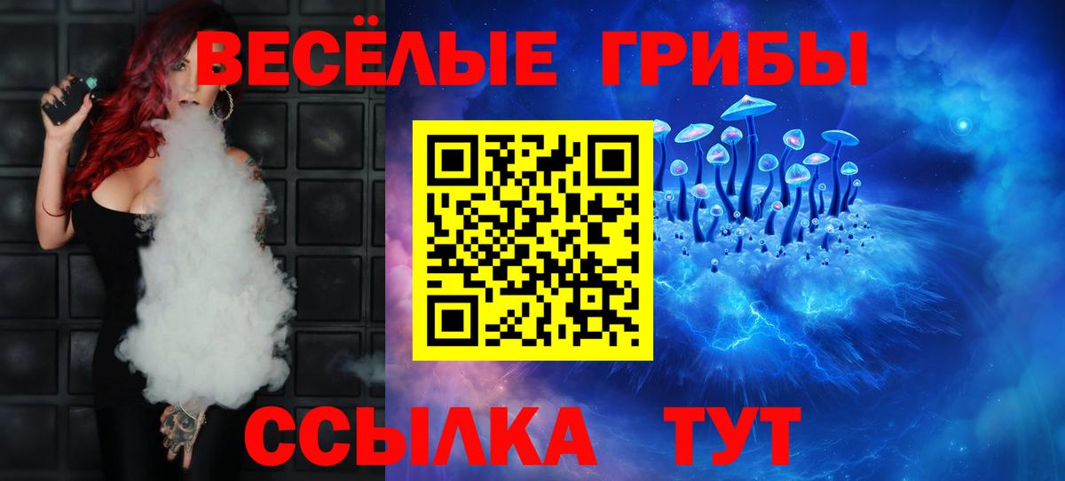 Галлюциногенные грибы Psilocybe Можга