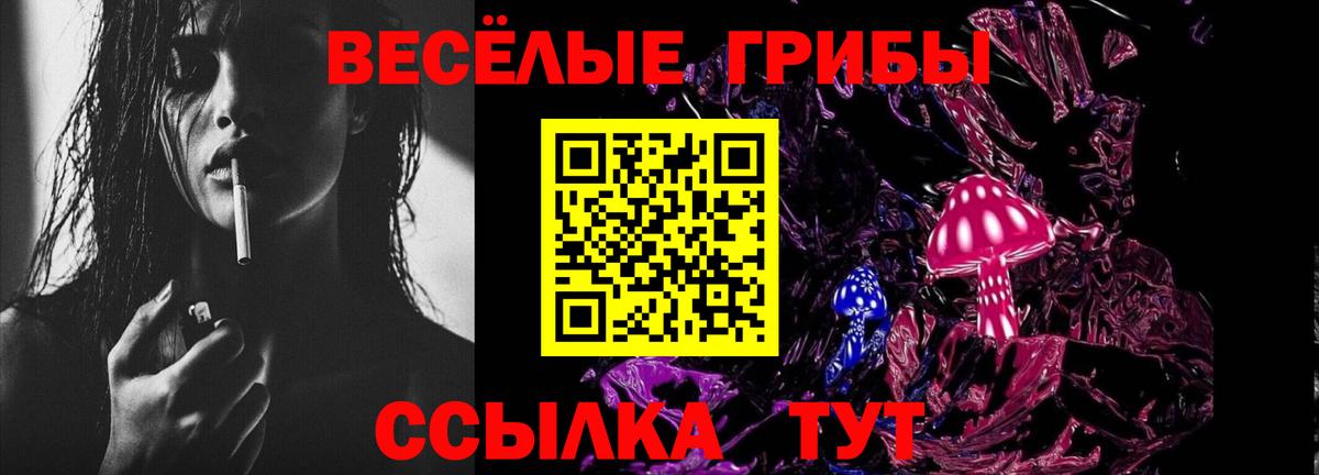 Бошки Шишки Можга